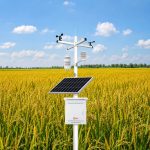 RK900-01 Agricultural Automatic Weather Station
